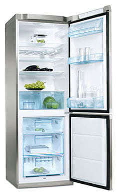 Ремонт холодильника Electrolux ERB 34301 X
