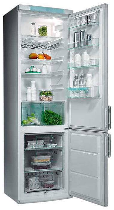 Ремонт холодильника Electrolux ERB 9041