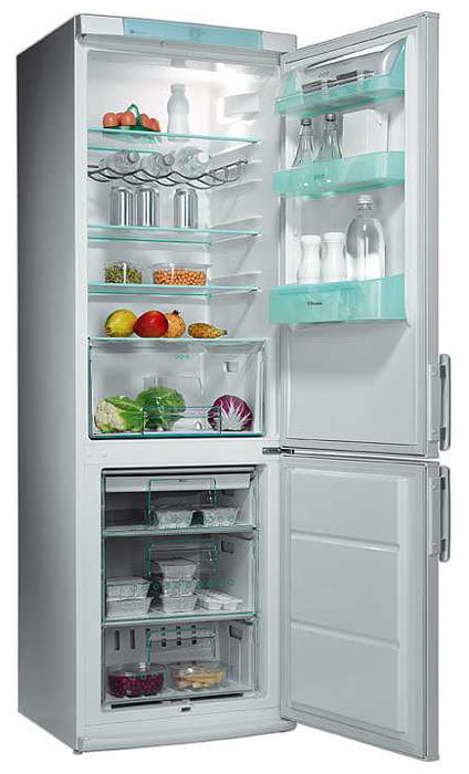 Ремонт холодильника Electrolux ERB 3651