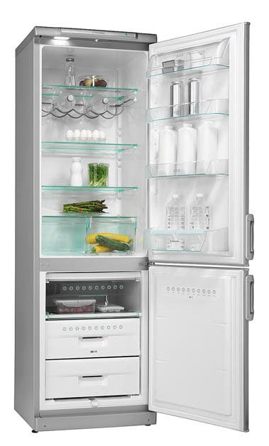 Ремонт холодильника Electrolux ERB 3598 X